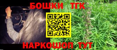 бошки Камышлов