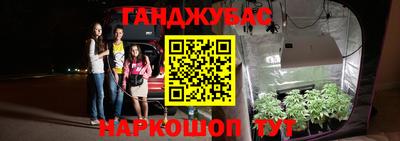 бошки Камышлов