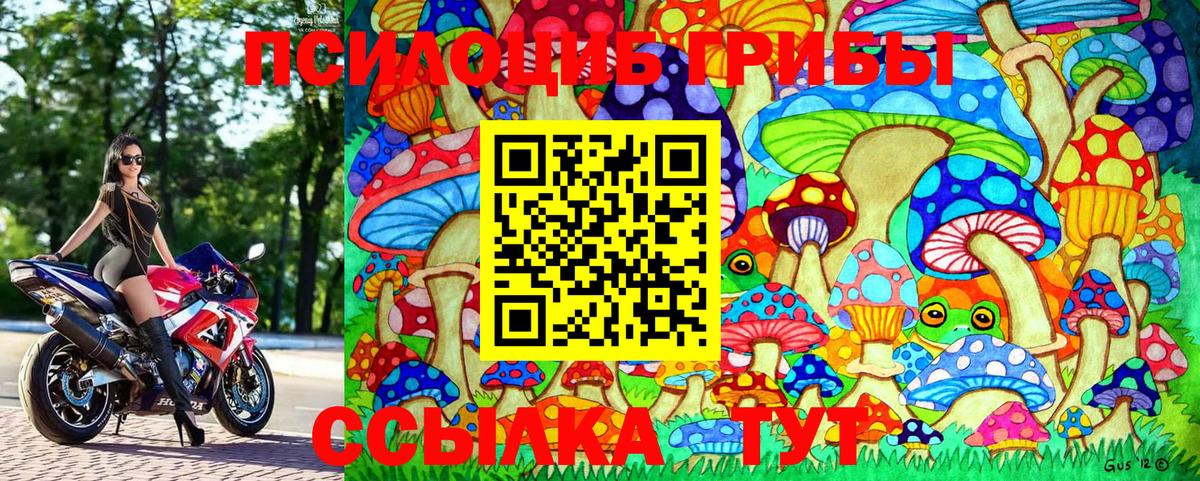 Псилоцибиновые грибы Cubensis Бирск