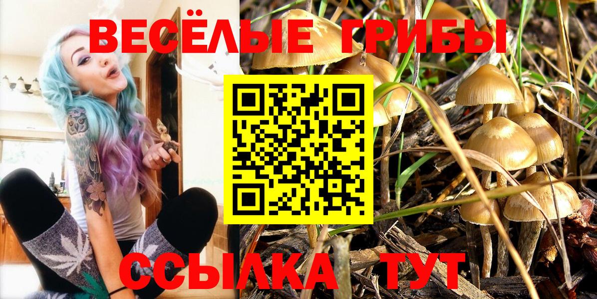 Бирск  Галлюциногенные грибы Psilocybine cubensis  Вход с VPN  купить наркотики цена  Псилоцибиновые грибы мухоморы 